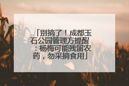 别摘了！成都玉石公园管理方提醒：杨梅可能残留农药，勿采摘食用