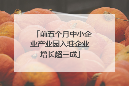 前五个月中小企业产业园入驻企业增长超三成
