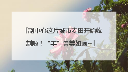 副中心这片城市麦田开始收割啦！“丰”景美如画~