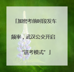 加密考前时段发车频率，武汉公交开启“送考模式”