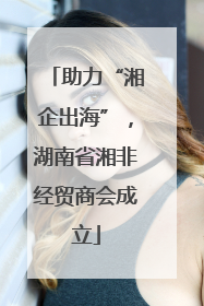 助力“湘企出海”，湖南省湘非经贸商会成立