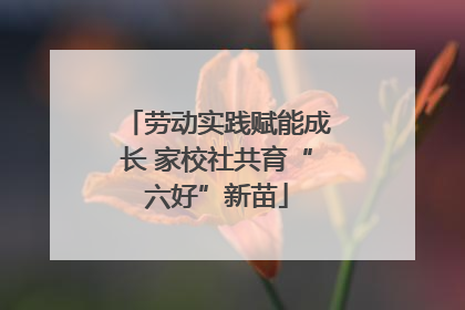 劳动实践赋能成长 家校社共育“六好”新苗