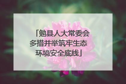 勉县人大常委会多措并举筑牢生态环境安全底线