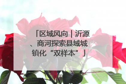 区域风向｜沂源、商河探索县域城镇化“双样本”