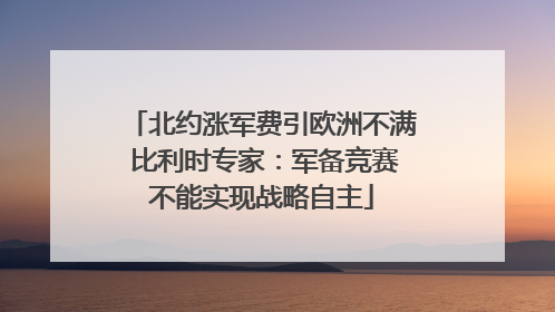 北约涨军费引欧洲不满 比利时专家：军备竞赛不能实现战略自主