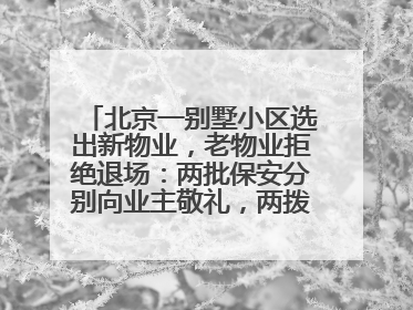 北京一别墅小区选出新物业，老物业拒绝退场：两批保安分别向业主敬礼，两拨人“抢活干”；镇政府回应