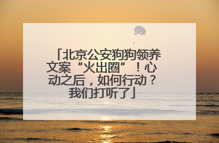 北京公安狗狗领养文案“火出圈”！心动之后，如何行动？我们打听了