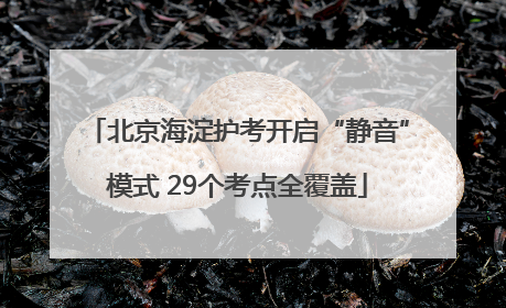 北京海淀护考开启“静音”模式 29个考点全覆盖