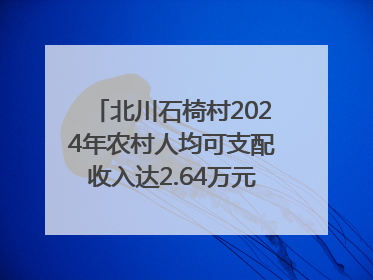 北川石椅村2024年农村人均可支配收入达2.64万元｜新闻发布最前线