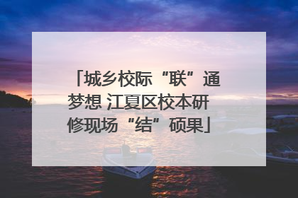 城乡校际“联”通梦想 江夏区校本研修现场“结”硕果