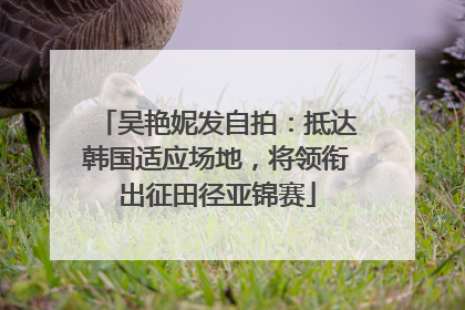 吴艳妮发自拍：抵达韩国适应场地，将领衔出征田径亚锦赛