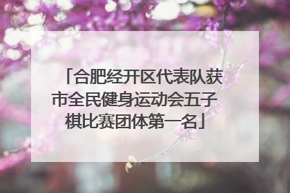 合肥经开区代表队获市全民健身运动会五子棋比赛团体第一名
