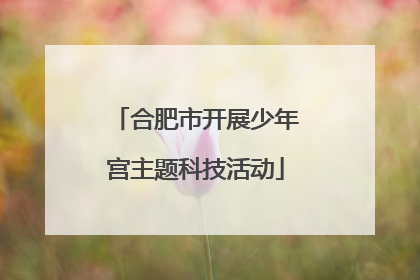 合肥市开展少年宫主题科技活动