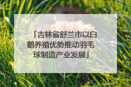 吉林省舒兰市以白鹅养殖优势推动羽毛球制造产业发展