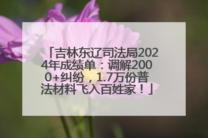 吉林东辽司法局2024年成绩单：调解2000+纠纷，1.7万份普法材料飞入百姓家！