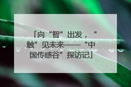 向“智”出发，“触”见未来——“中国传感谷”探访记