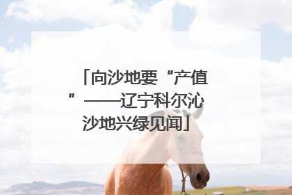 向沙地要“产值”——辽宁科尔沁沙地兴绿见闻