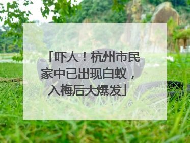 吓人！杭州市民家中已出现白蚁，入梅后大爆发