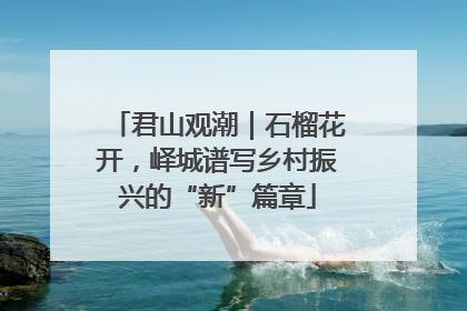 君山观潮｜石榴花开，峄城谱写乡村振兴的“新”篇章