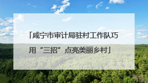 咸宁市审计局驻村工作队巧用“三招”点亮美丽乡村