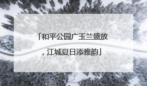 和平公园广玉兰盛放，江城夏日添雅韵
