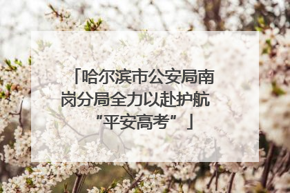 哈尔滨市公安局南岗分局全力以赴护航“平安高考”