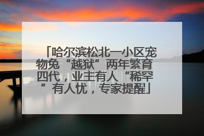 哈尔滨松北一小区宠物兔“越狱”两年繁育四代，业主有人“稀罕”有人忧，专家提醒