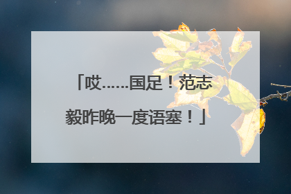 哎……国足！范志毅昨晚一度语塞！