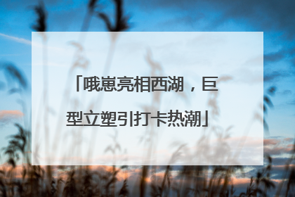 哦崽亮相西湖，巨型立塑引打卡热潮