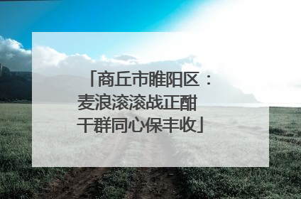 商丘市睢阳区：麦浪滚滚战正酣 干群同心保丰收