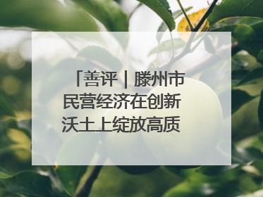 善评｜滕州市民营经济在创新沃土上绽放高质量发展之花