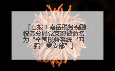 喜报！南岳税务祝融税务分局党支部被命名为“全国税务系统‘四强’党支部”