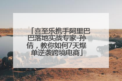 喜至乐携手阿里巴巴落地实战专家-孙倩，教你如何7天爆单逆袭跨境电商