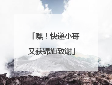 嘿！快递小哥又获锦旗致谢