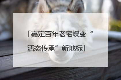 嘉定百年老宅蝶变“活态传承”新地标