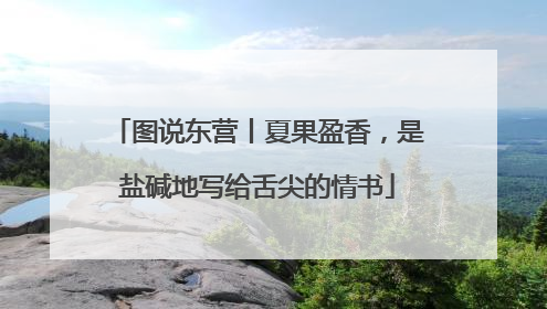 图说东营丨夏果盈香，是盐碱地写给舌尖的情书