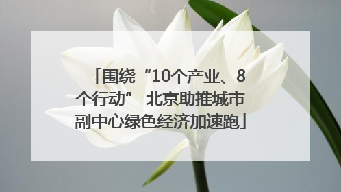 围绕“10个产业、8个行动” 北京助推城市副中心绿色经济加速跑