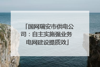 国网瑞安市供电公司：自主实施强业务 电网建设提质效