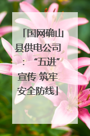 国网确山县供电公司：“五进”宣传 筑牢安全防线