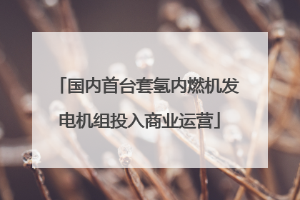 国内首台套氢内燃机发电机组投入商业运营