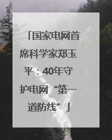 国家电网首席科学家郑玉平：40年守护电网“第一道防线”