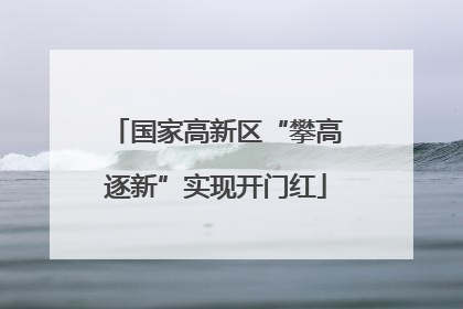 国家高新区“攀高逐新”实现开门红