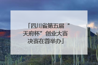 四川省第五届“天府杯”创业大赛决赛在蓉举办