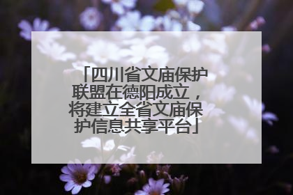 四川省文庙保护联盟在德阳成立，将建立全省文庙保护信息共享平台