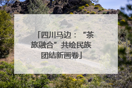 四川马边：“茶旅融合”共绘民族团结新画卷