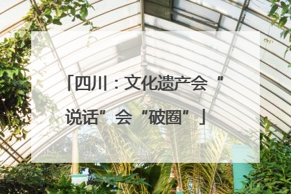 四川：文化遗产会“说话”会“破圈”