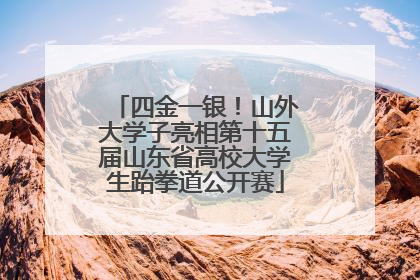 四金一银！山外大学子亮相第十五届山东省高校大学生跆拳道公开赛