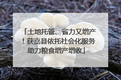 土地托管、省力又增产！获嘉县依托社会化服务助力粮食增产增收