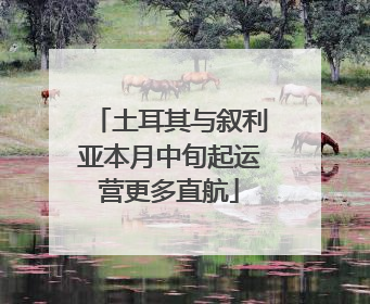 土耳其与叙利亚本月中旬起运营更多直航
