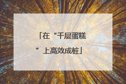 在“千层蛋糕”上高效成桩